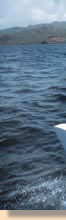 croisières en catamaran