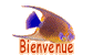 Bienvenue à bord de Kathaïs