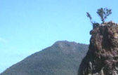 Les saintes