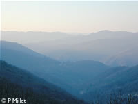 Vallée Borgne en Cévennes